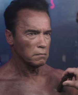 Arnold Schwarzenegger Was Once Told a Horse Had More Expression Than He Did