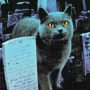 The film also features never-before-seen footage from the sets in Maine, interviews with the key crew, the town's people and packed full of bonus features, including a fan appreciation sizzle reel, a personal interview with the documentary filmmakers and much, much more.