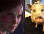 The Last of Us: Part II, with Ellie as the main character, is also in development, and now it looks like Naughty Dog has been working on motion capture... for a pig.