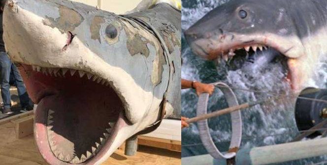 The Film and Film Academy announced Thursday that the original shark used in the sea teeth had been "completely transformed". The only details that are waiting to be added are the eyes and teeth. Nicknamed "Bruce," this piece is the only surviving shark prop of Steven Spielberg's 1975 classic, which tells the story of a water-killing machine that terrorizes a New England tourist town.