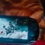 Those who (still) have the small handheld gaming gadget made by Sony and released in Japan in December 2011 (the rest of the world in February 2012): the PlayStation Vita and who still use it in remote play mode, can give it up for Ghost of Tsushima.
