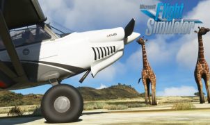 They brought us a wonderful world here - I mean, really, we’ve got detailed animals in the new trailers of Microsoft Flight Simulator!