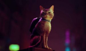With a cat as the protagonist, Stray from PS5, PS4 and PC reappears with new gameplay and details. Like these animals in real life - drop things, get on furniture, and yes, you can lick your own ass too.