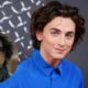 MOVIE NEWS - Actor Timothée Chalamet recently confirmed what many fans have already discovered by scouring the internet: he used to be a YouTuber. And that's all for nothing: it's amusing that he's really creative in the world of gaming and that he's been showing off his 