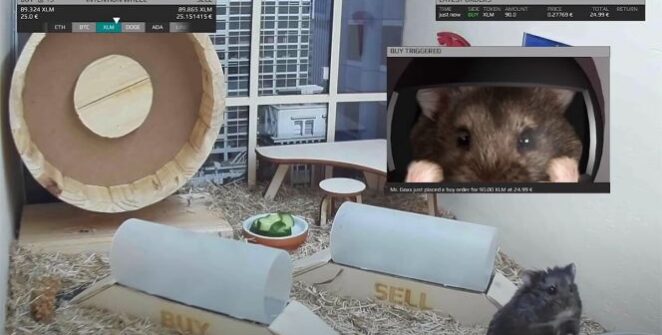 Mr Goxx, the hamster pet who achieved internet fame because of his ability to often outperform human investors in cryptocurrency-trading, died on Tuesday.