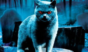 MOVIE NEWS - Guillermo del Toro is looking to make a new adaptation of Stephen King's Pet Sematary.