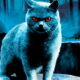 MOVIE NEWS - Guillermo del Toro is looking to make a new adaptation of Stephen King's Pet Sematary.
