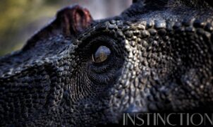 The studio developing Instinction, a game featuring lifelike dinosaurs, is receiving financial investment.