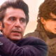 MOVIE NEWS - If the film Heat is ever remade, Al Pacino has cast Timothée Chalamet as his successor as Lieutenant Vincent Hanna.