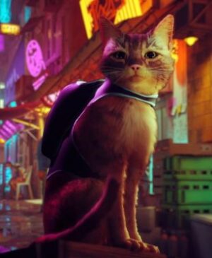 Stray captivated us from the first moment we saw it and immediately had us glued to our TV screens.