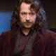 MOVIE NEWS - Oscar-winning actor Gary Oldman believes his performance as the infamous wizard Sirius Black in the Harry Potter franchise was merely 