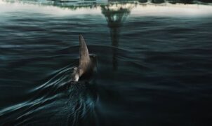 MOVIE REVIEW – Nowadays, there are as many shark movies as there are fish in the sea. Unfortunately, most of them are not only terrible but proudly so.
