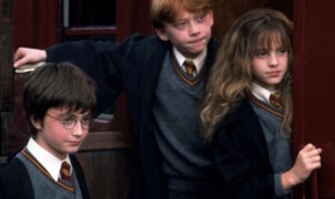 MOVIE NEWS - A studio boss has revealed how the HBO Harry Potter TV series will avoid ageing actors between seasons.