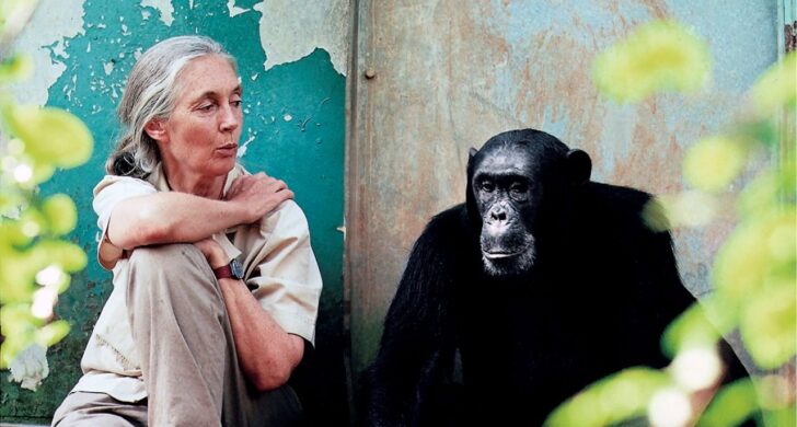 TECH NEWS – Apple’s new spot “Great Ideas Start on Mac” features the distinct voice of the late Dr. Jane Goodall, framing creativity as the instant when a mere “flicker on a screen” becomes something real.