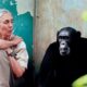 TECH NEWS – Apple’s new spot “Great Ideas Start on Mac” features the distinct voice of the late Dr. Jane Goodall, framing creativity as the instant when a mere “flicker on a screen” becomes something real.
