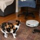 TECH ANALYSIS - The true value of a robot vacuum does not become clear when it glides through an empty, perfectly arranged showroom, but when it has to cope with a real home: thresholds, rugs, chairs, cables, crumbs, hair, and all the everyday obstacles that fill every household.